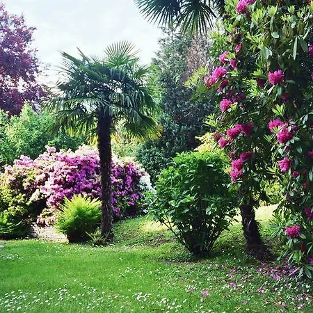 Σπίτι διακοπών Rododendro Di *